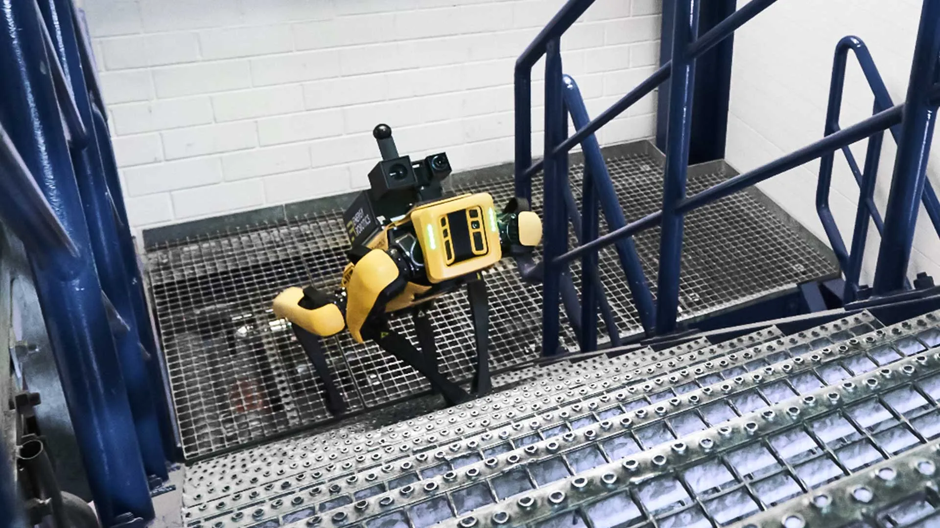 Digital Revolution: The New Generation of Robots Are Here