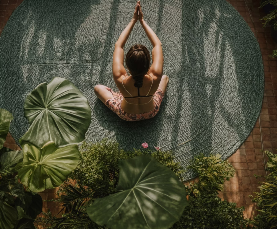 responsive navbar image