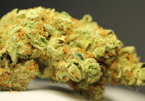 Everything You Need To Know About Medical Cannabis in the UK