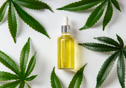 Full Spectrum CBD Oil: Your Complete Guide 