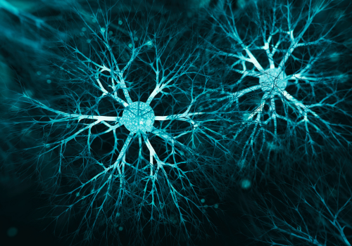 How Long Does Cannabis Stay in Your System?