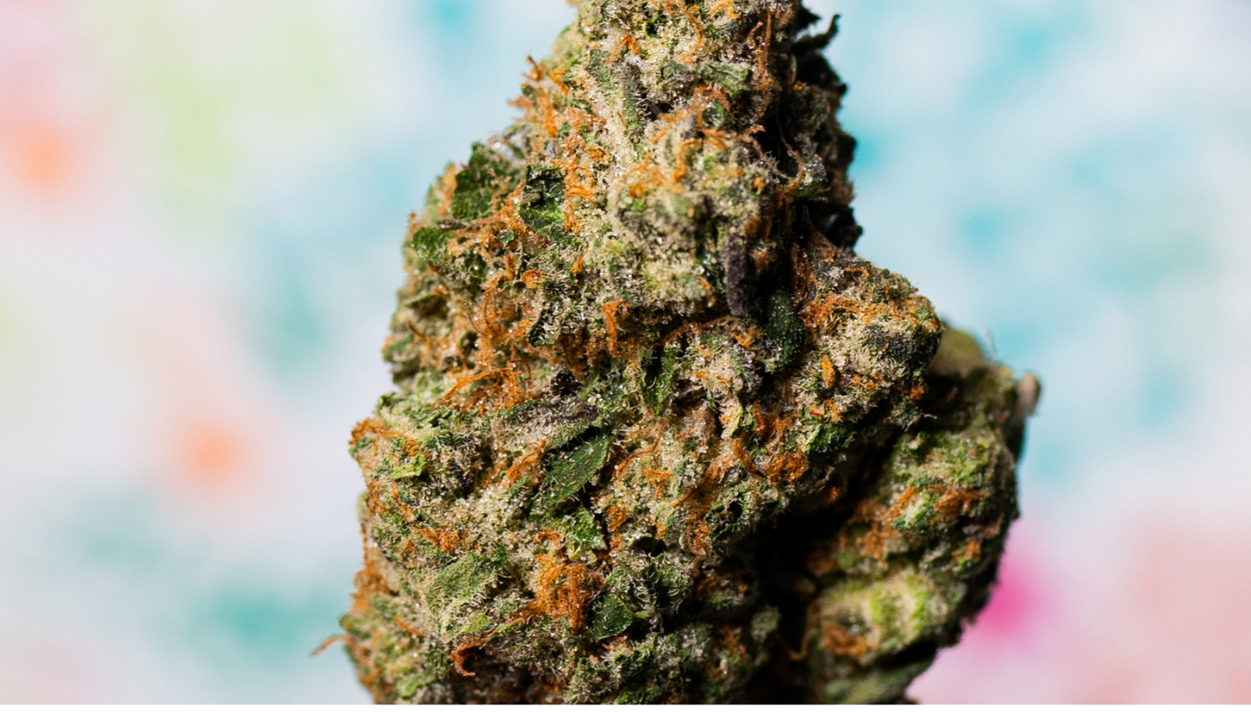 Cannabis Strains: Find the Right One for You