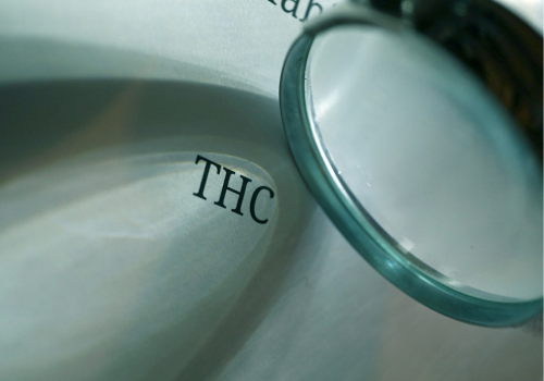 Highest THC Strains: Explore Strongest Cannabis Strains