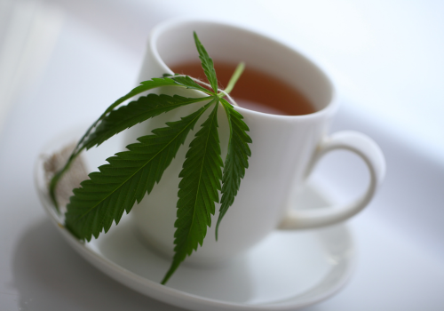 Surprising Benefits of Hemp Tea: Why It’s Worth a Try