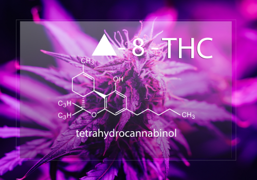 Delta-8 THC Explained: Uses & Benefits