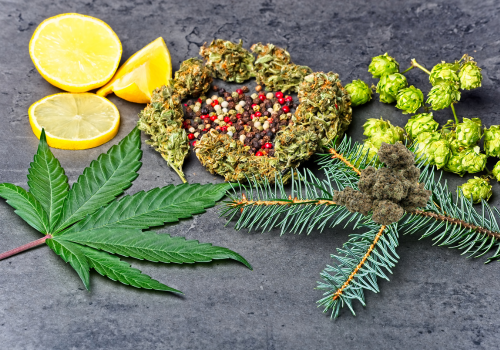 What Does Cannabis Taste Like: A Guide