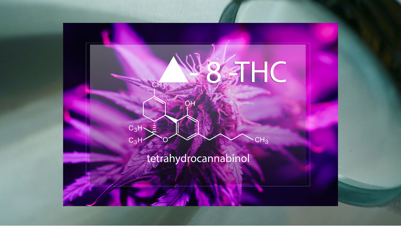 Delta-8 THC Explained: Uses & Benefits