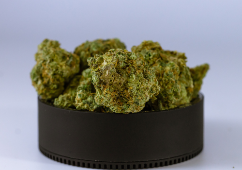 Cannabis 101: Your Guide To Cannabis