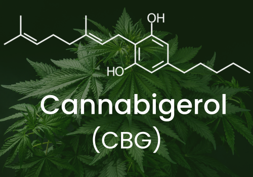 What is Cannabigerol (CBG)?