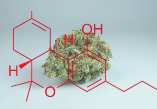 What Is THCV? Benefits, Effects & How It Compares to THC