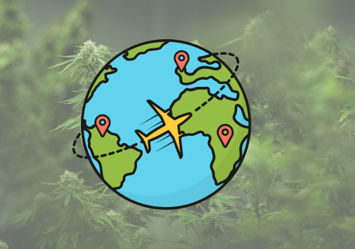 Travelling with Medical Cannabis: What UK Patients Need to Know
