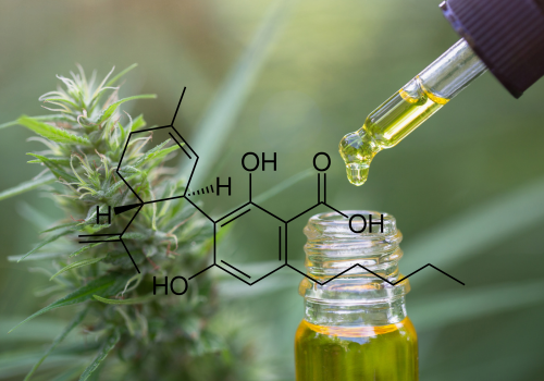 CBDA: What It Is, Benefits & How It Compares to CBD