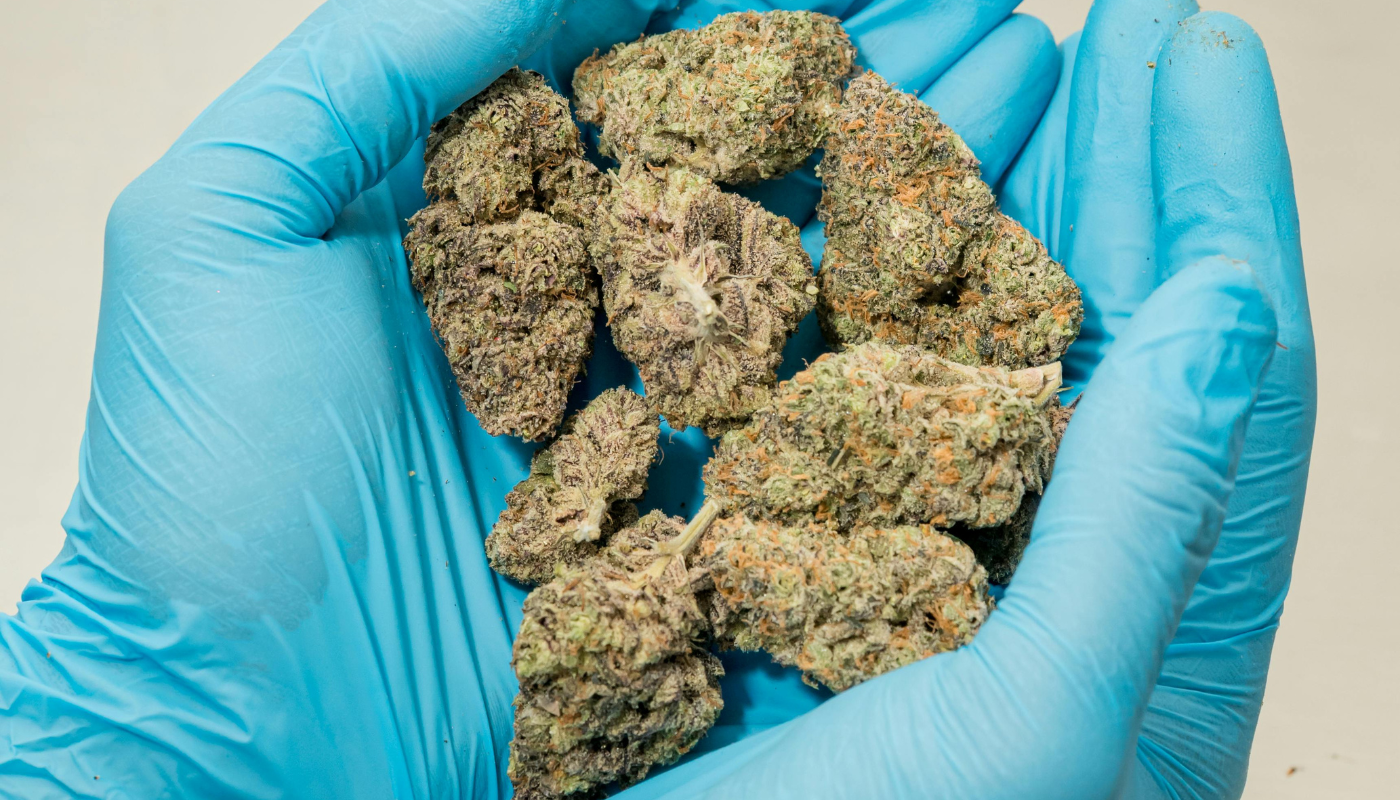 Medical Cannabis Laws and Patient Eligibility in the UK