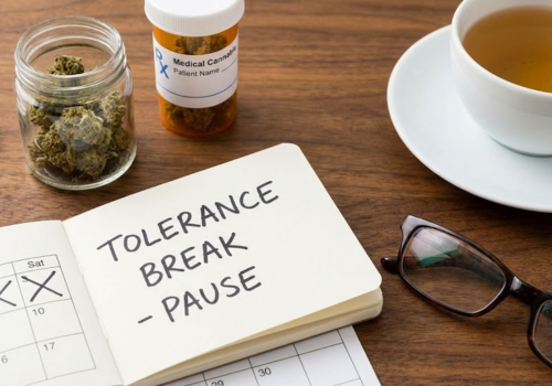 Tolerance Breaks in Medical Cannabis: An Overview