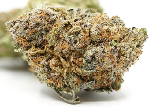 What Are CBPMs (Cannabis-Based Products for Medicinal Use)?