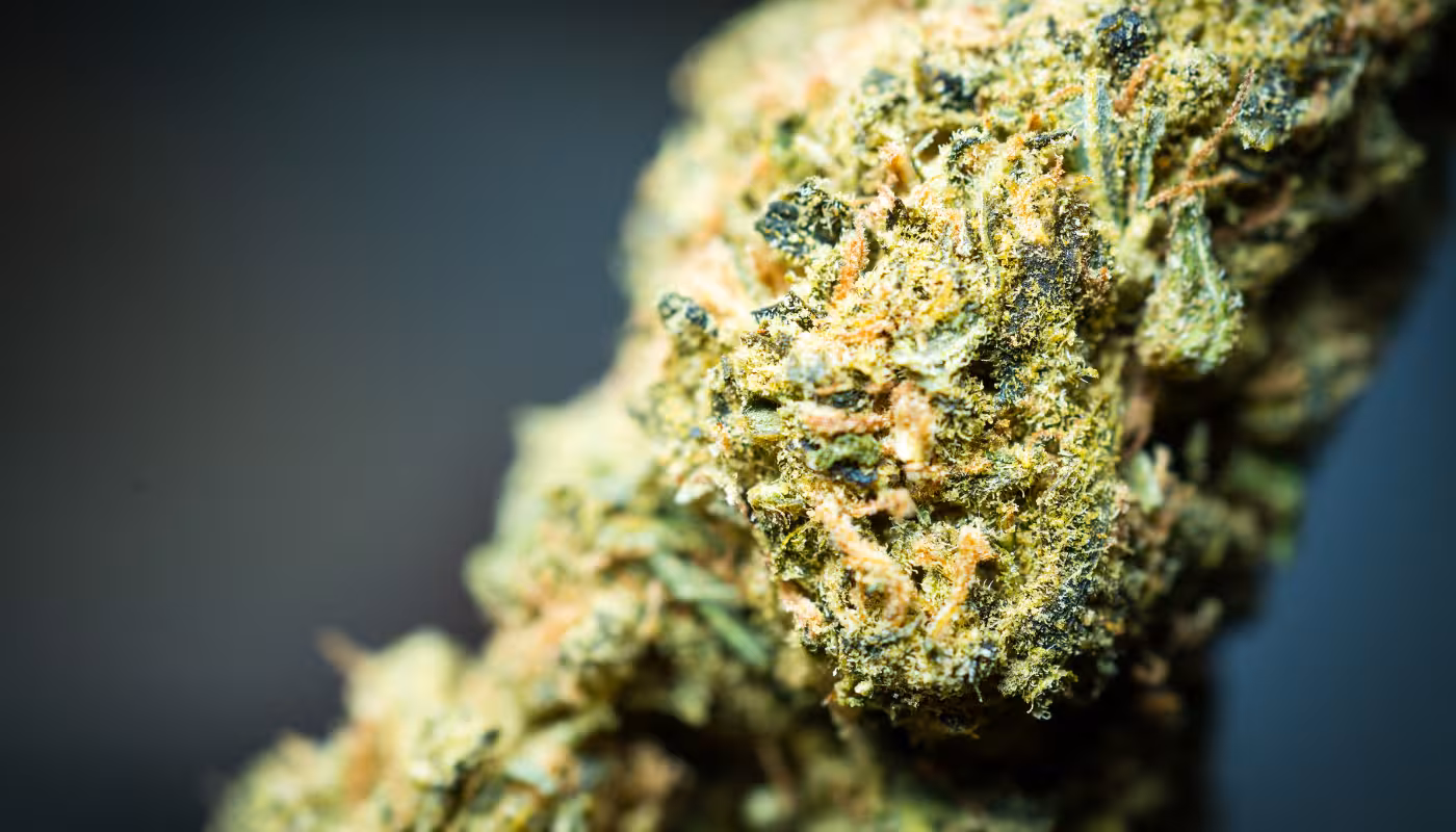 Is THC Legal in the UK? What Patients Need to Know
