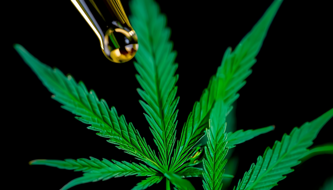 CBD and Other Medicines: A Patient Safety Guide