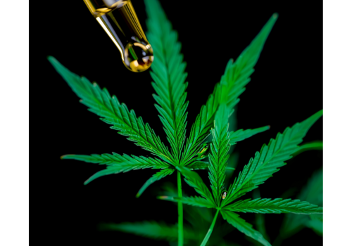 CBD and Other Medicines: A Patient Safety Guide