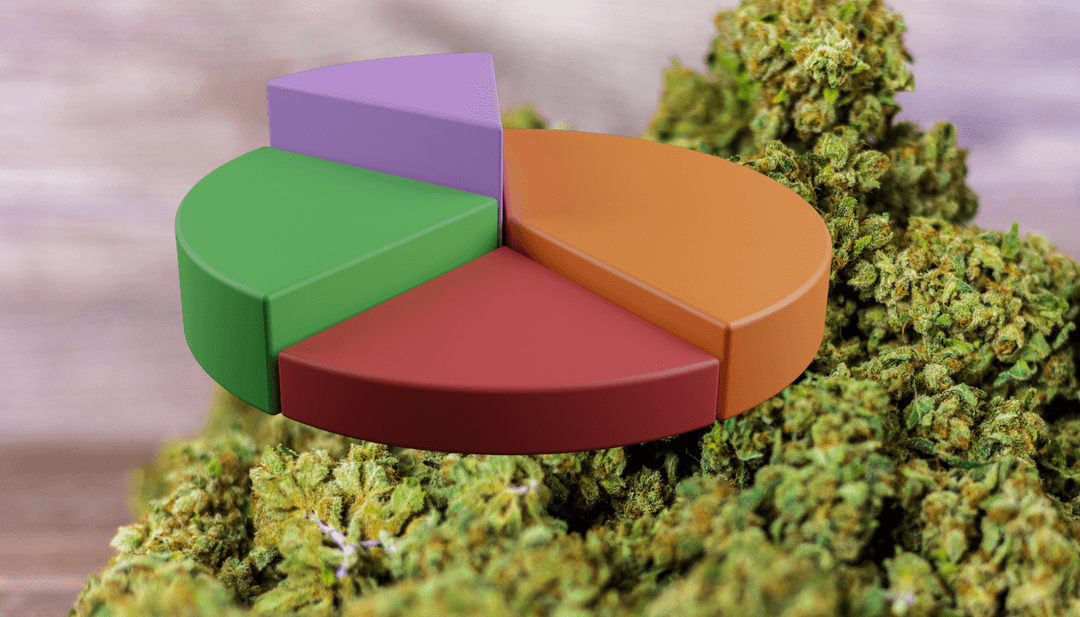 Cannabis Statistics UK 2026: Key Facts & Trends | Alternaleaf UK