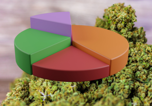 Cannabis Statistics UK: Usage, Medical Patients & Key Trends