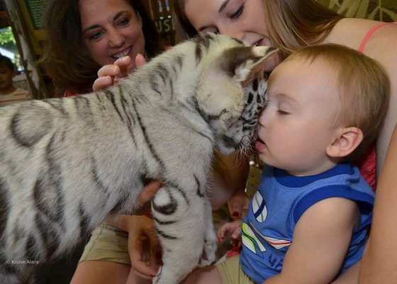 Myrtle Beach Safari