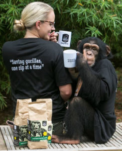 Gorilla Conservation Coffee