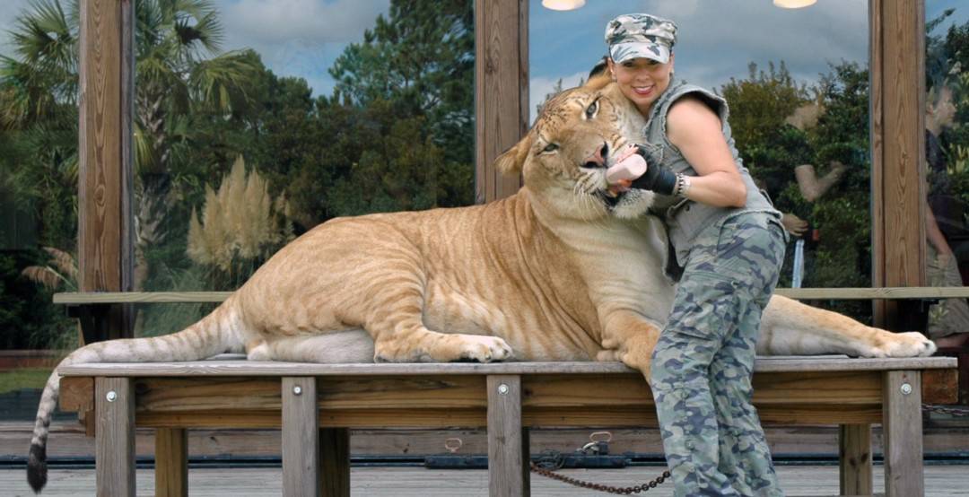 Myrtle Beach Safari – A Once in Lifetime Hands-On Wildlife Experience