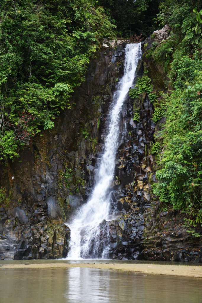 Waterfalls such as this are only part of the natural beauty and biodiversity that the Rare Species Fund is helping to protect through the establishment and maintenance of wildlife patrols and the Soraya Forest Research Station in Sumatra.