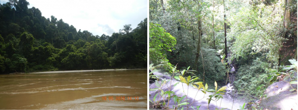 The Soraya River and its many tributaries are an important source of life for local wildlife.