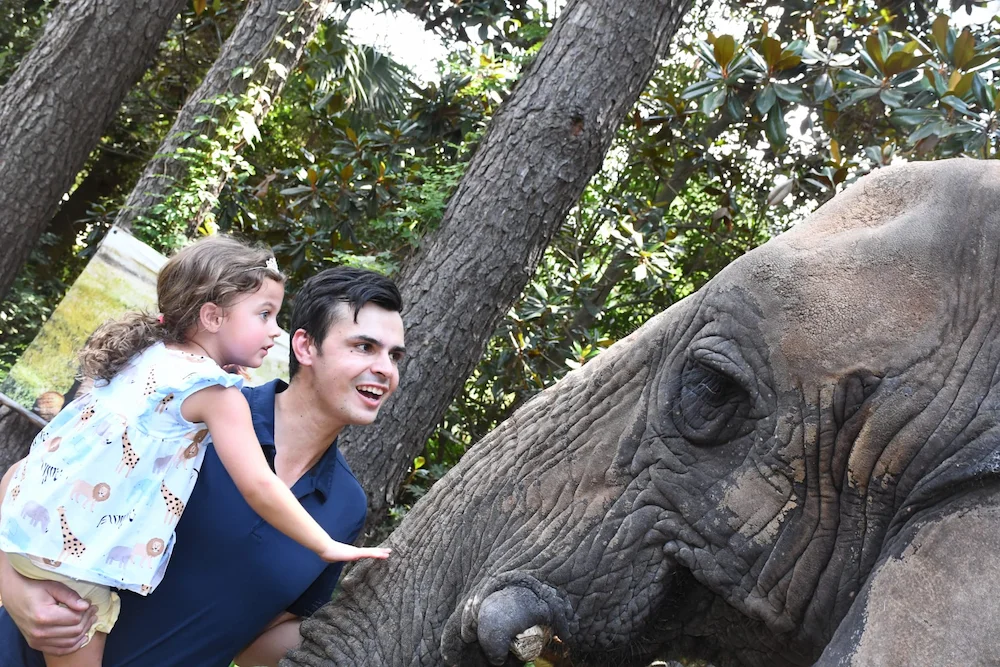 Discover Myrtle Beach Safari: Unforgettable Animal Encounters on South Carolina’s Coast