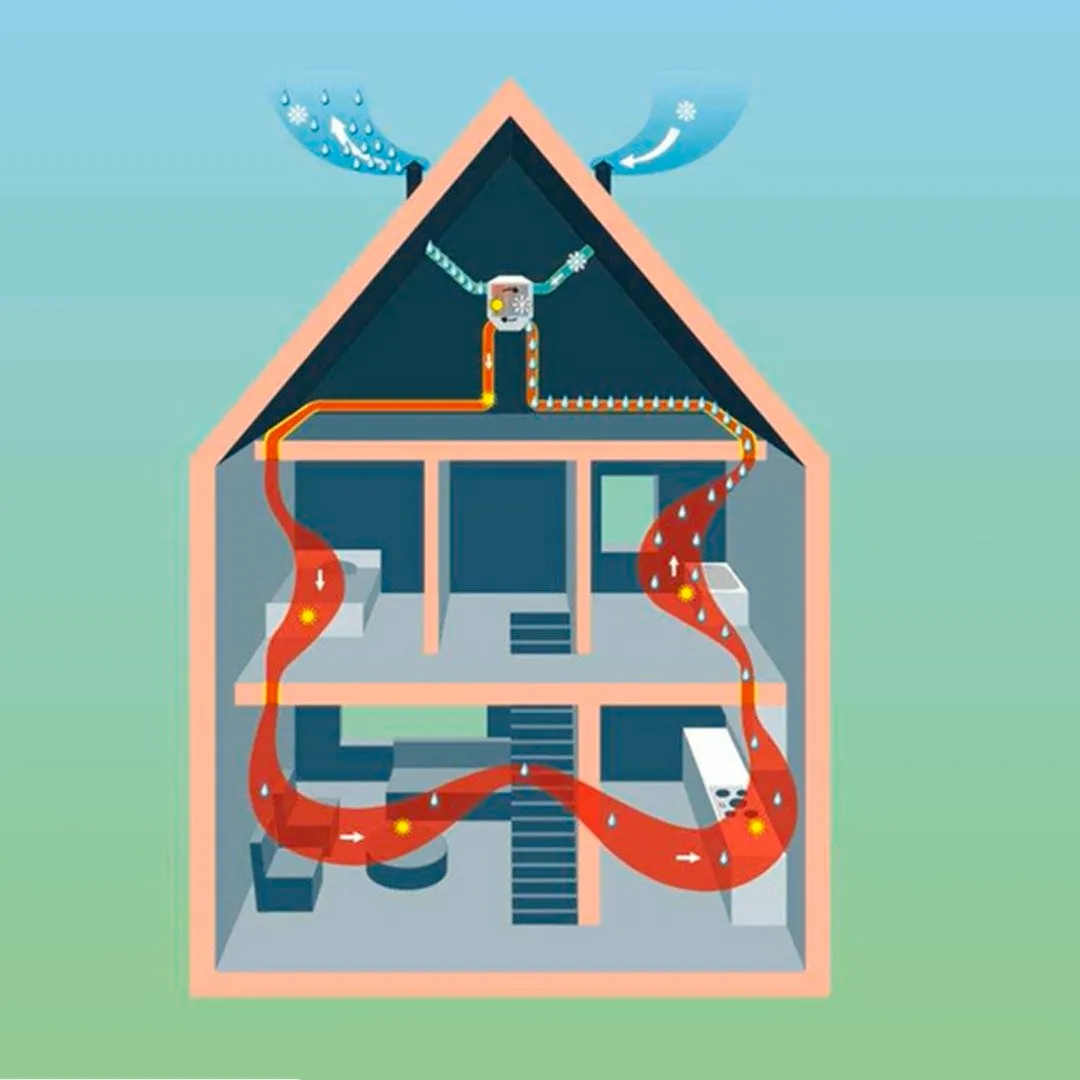 Illustratie van een woning in doorsnede met een ventilatiesysteem dat verse en afgevoerde lucht verdeelt