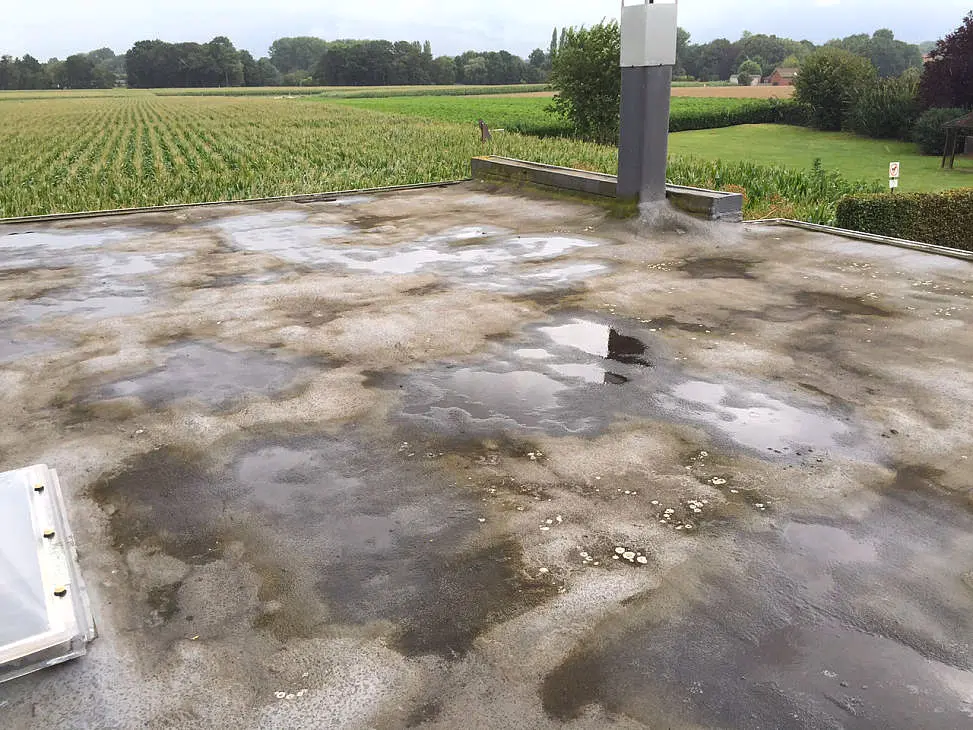 Plat dak met plassen stilstaand water, een geval voor herstel van de dakbedekking