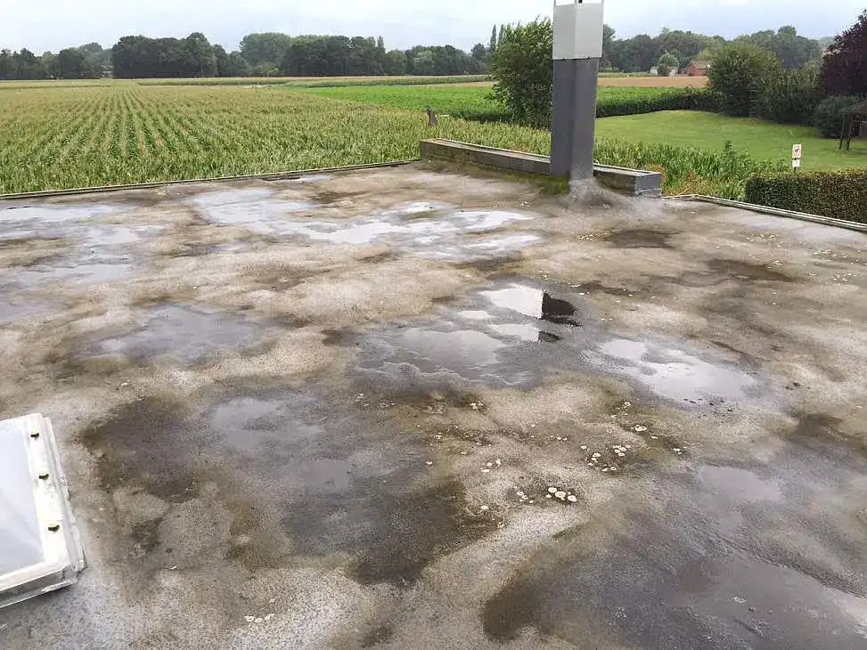 Plat dak met plassen stilstaand water, een geval voor herstel van de dakbedekking