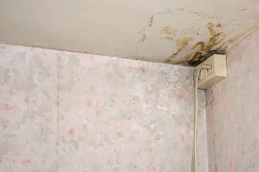 Vochtplekken en schimmel op een plafondhoek met bloemetjesbehang, een geval voor vochtbestrijding