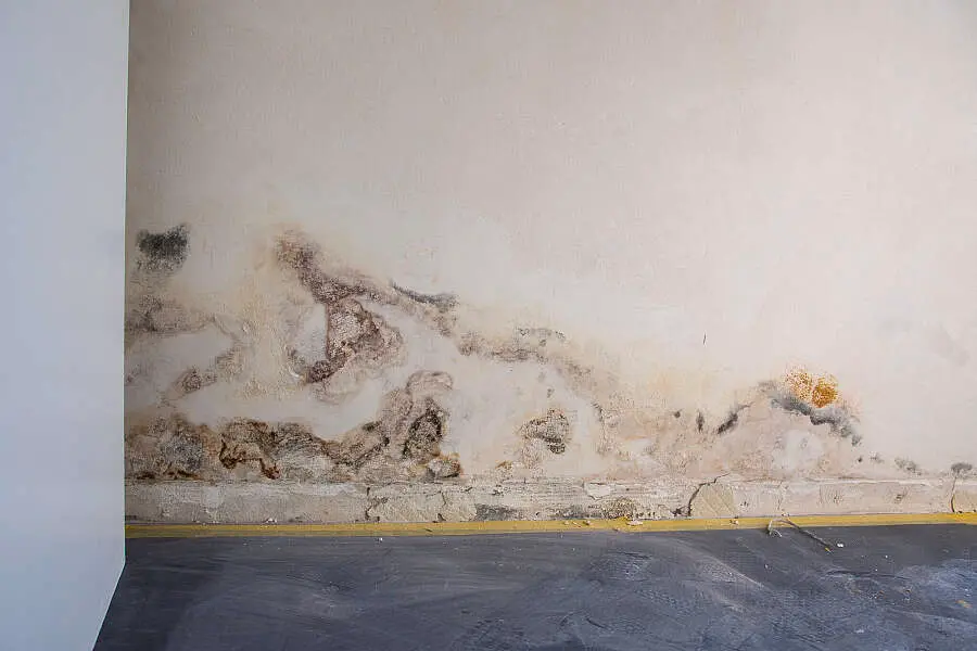 Beschadigde binnenmuur met vochtkringen en schimmel langs de onderzijde, een geval voor vochtbestrijding