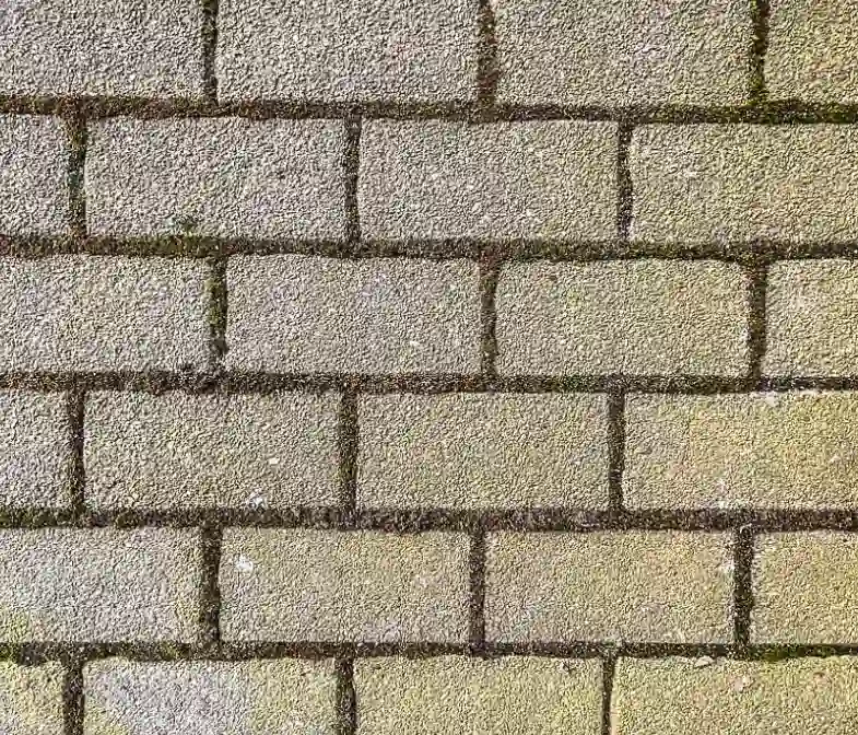 Betonnen blokken met mos en groene aanslag in de voegen