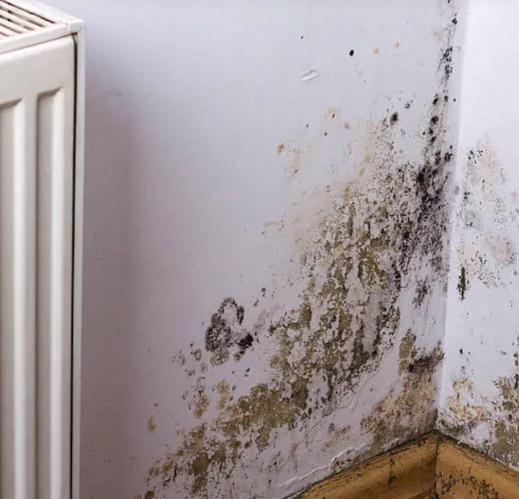 Zwarte en groene schimmel- en vochtvlekken in een muurhoek naast een radiator