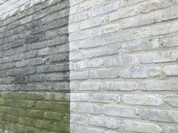 Bakstenen gevel half gereinigd: links groene algenaanslag, rechts schoon, na gevelreiniging