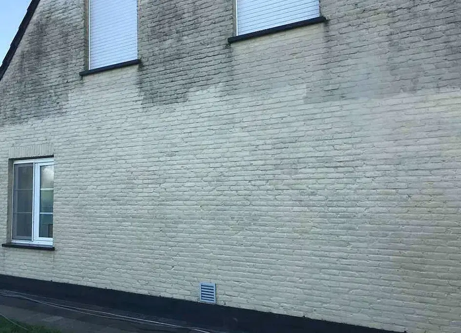 Lichtgele bakstenen gevel met donkere mos- en vuilaanslag bovenaan, vóór gevelreiniging