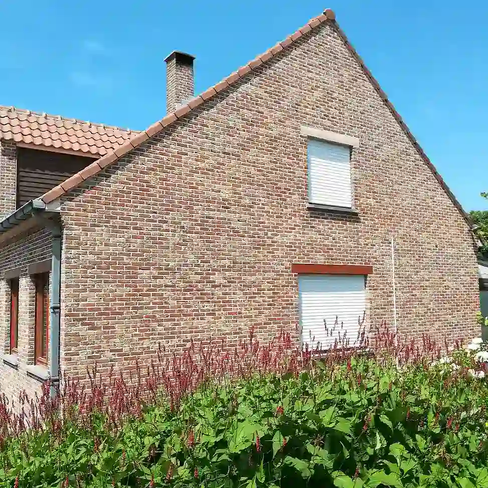 Bakstenen zijgevel half bedekt met groene mos- en algenaanslag, voor gevelreiniging