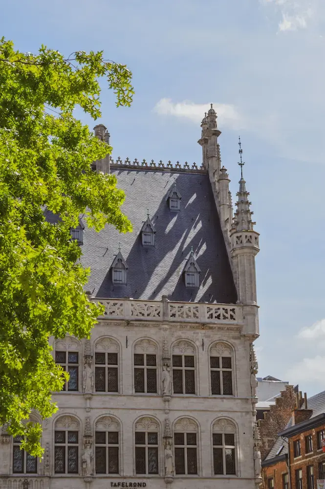 Het historische Tafelrond-gebouw in Leuven met een boom op de voorgrond