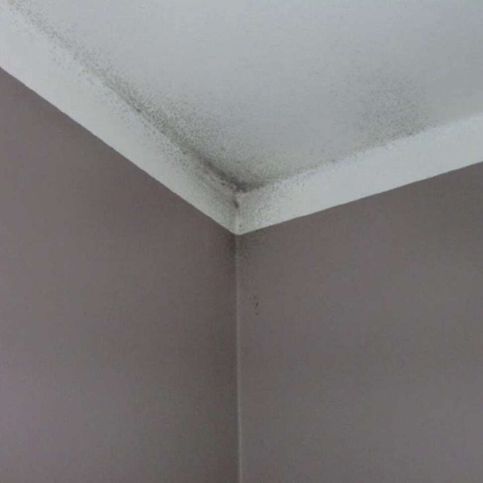 Schimmel door condens op een muur in Ieper | Aqua Protect