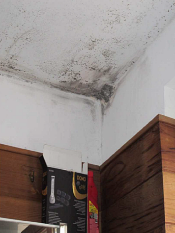 ventilation b moisissures