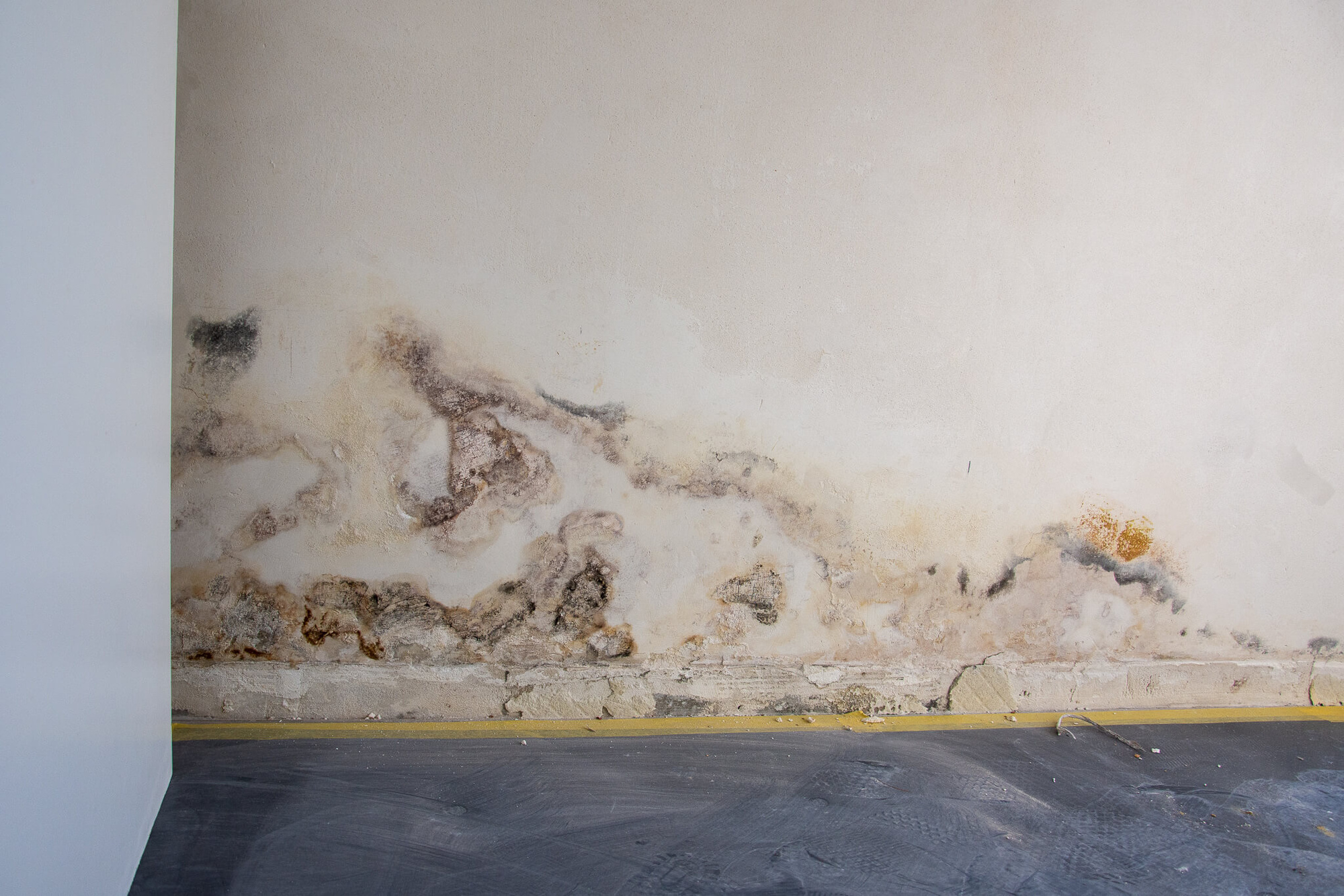 vochtproblemen op de muur