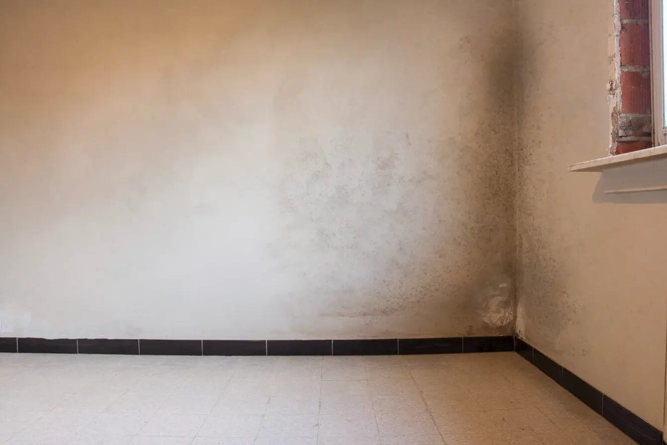 Donkere schimmelaanslag rond een raamhoek in een lege kamer met tegelvloer