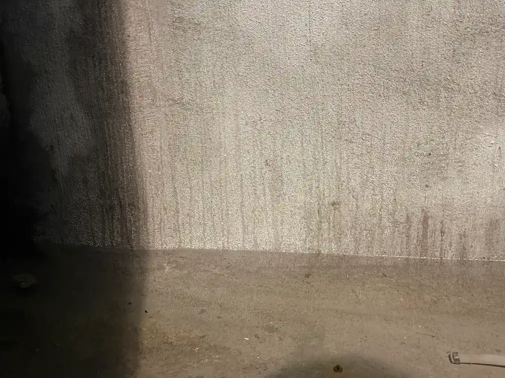 Traînées d'humidité qui remontent du sol sur un mur de cave brut