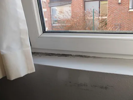 Moisissure sur une fenêtre causée par un pont thermique
