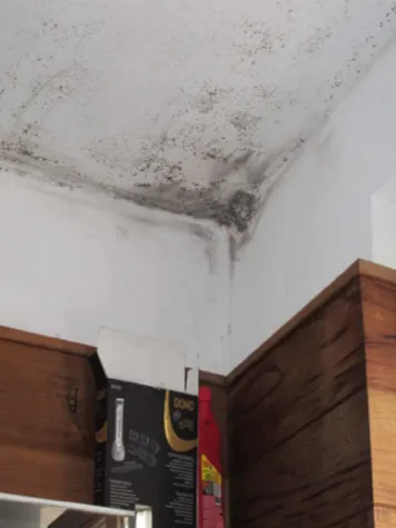 ventilation b moisissures 