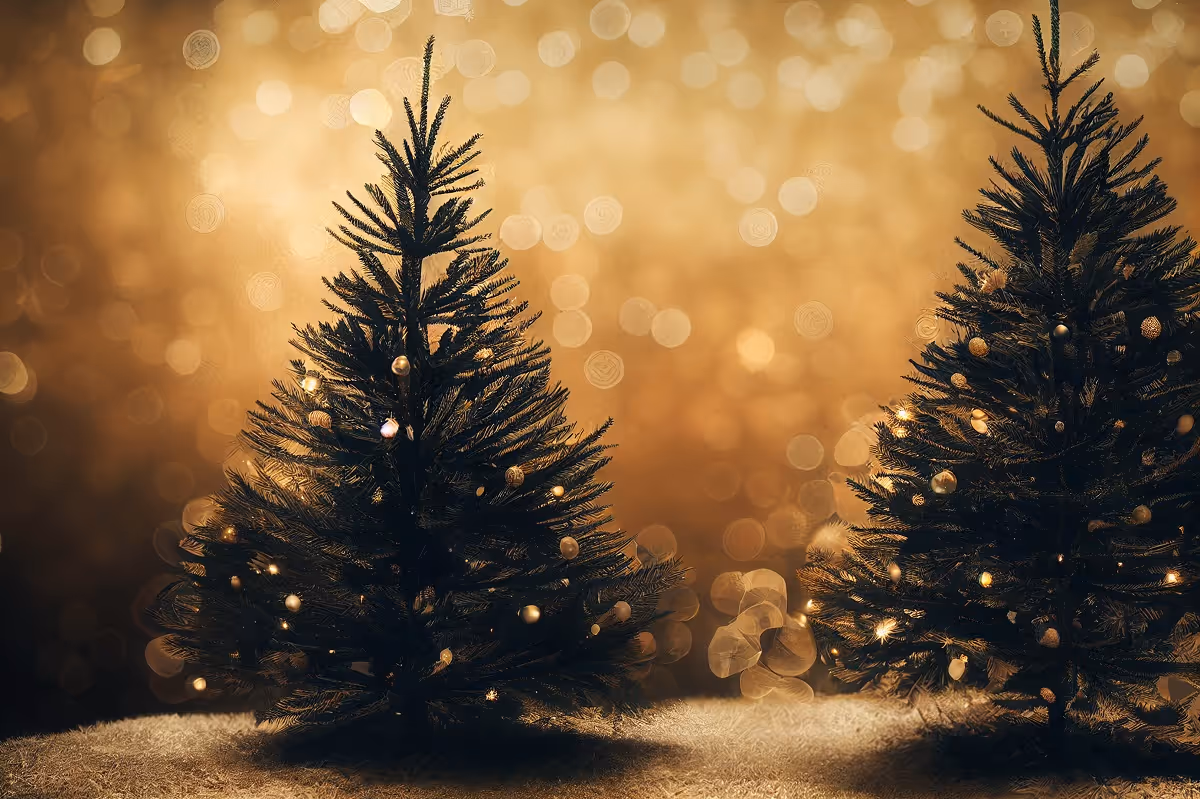 A Holiday Message From Our CEO