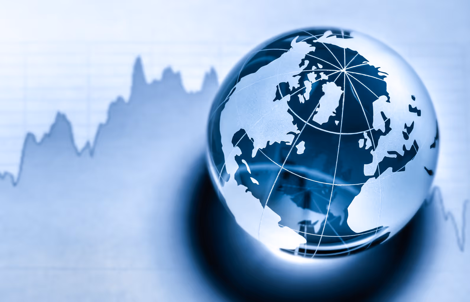 The World Investable Portfolio